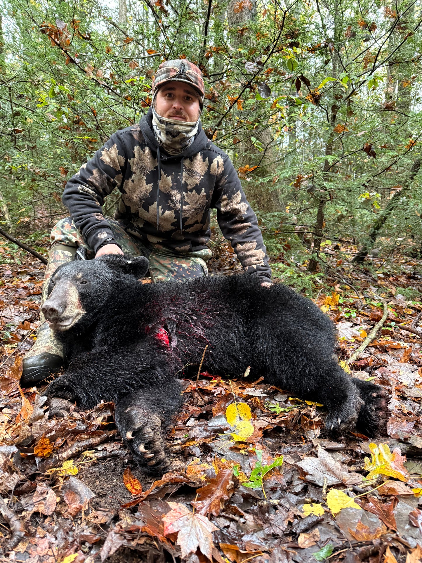 Semi-Guided NJ Bear Hunt